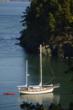 Glen Raven Custom Fabrics Launches Sailboat Makeover Project Using...